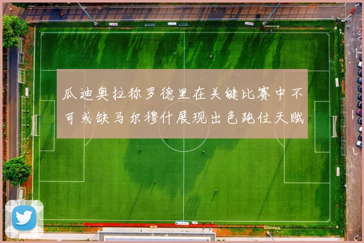 瓜迪奥拉称罗德里在关键比赛中不可或缺马尔穆什展现出色跑位天赋