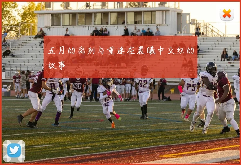 五月的离别与重逢在晨曦中交织的故事